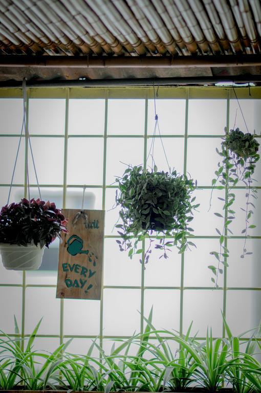 Tuti Tong Dan Homestay Hanoï Extérieur photo